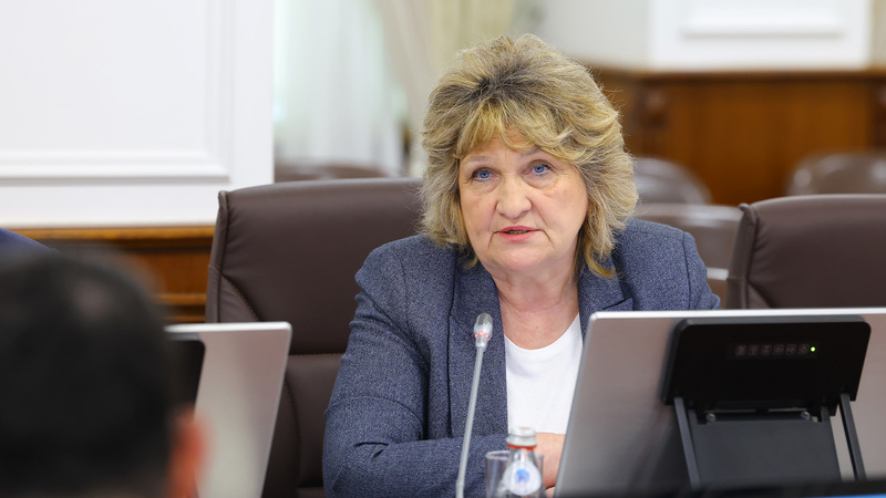 Марина Дурманова озвучила предложения по ценообразованию на лекарства